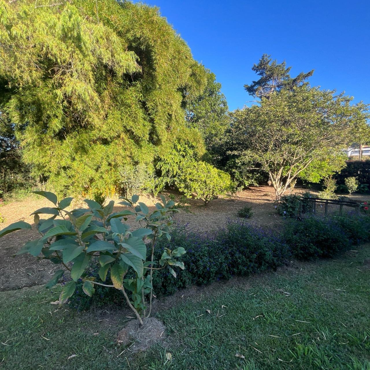 Hermosa Casa Campestre amoblada , rodeada de naturaleza en la ceja  — 19
