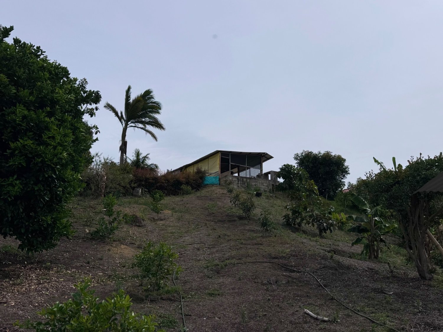Casa campestre ideal para desarrollo inmobiliario  — 4