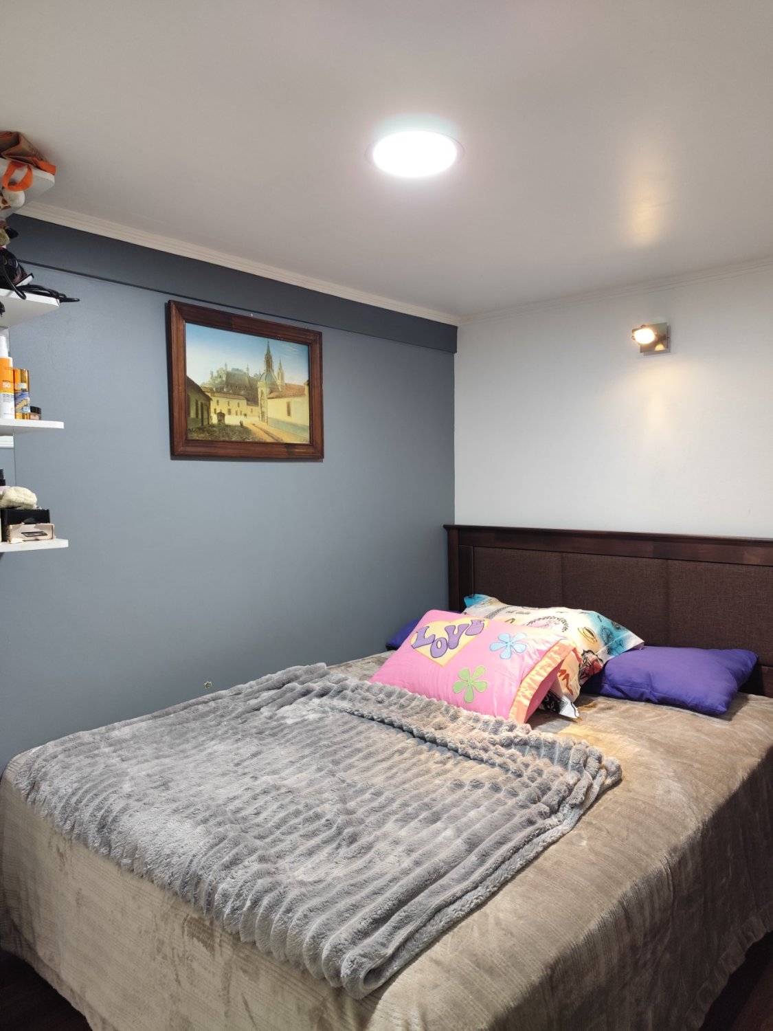 Acogedora Casa remodelada, cerca del Hospital de Chillán - Image 8