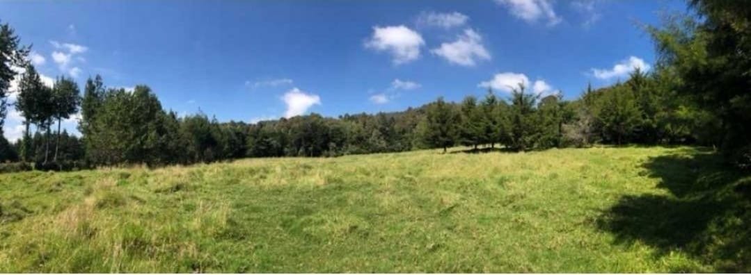 Exclusivo lote en meritage en Venta en las palmas  — 3