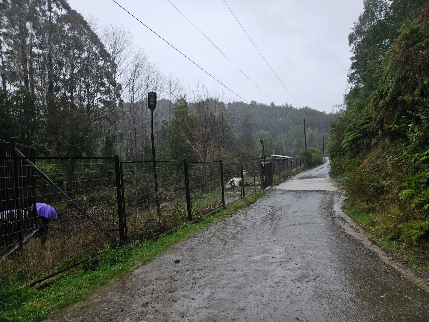 Venta Parcela con casa los Troncos, Valdivia, Camino Paillaco - Image 11