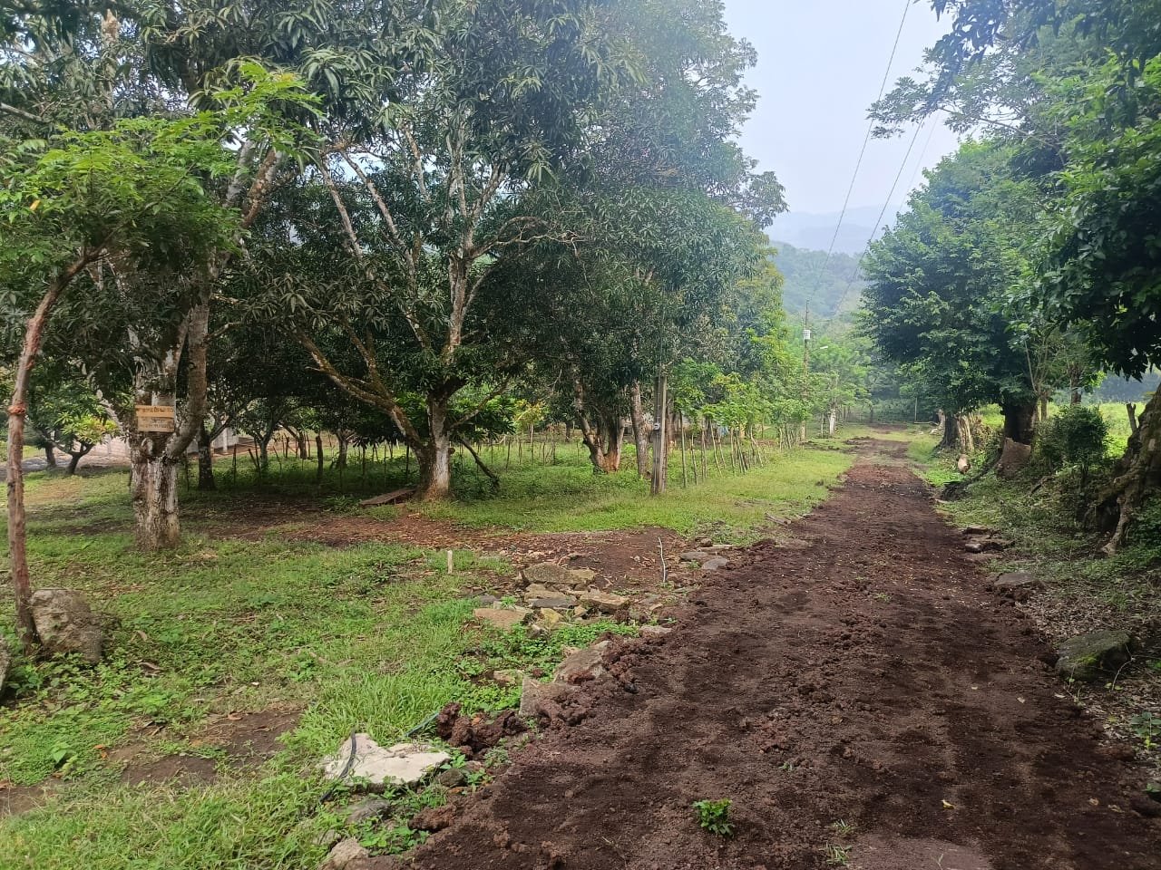 Terrenos Venta cerca de la Col. Benito Juárez, en San Andrés Tuxtla, Ver. - Image 3