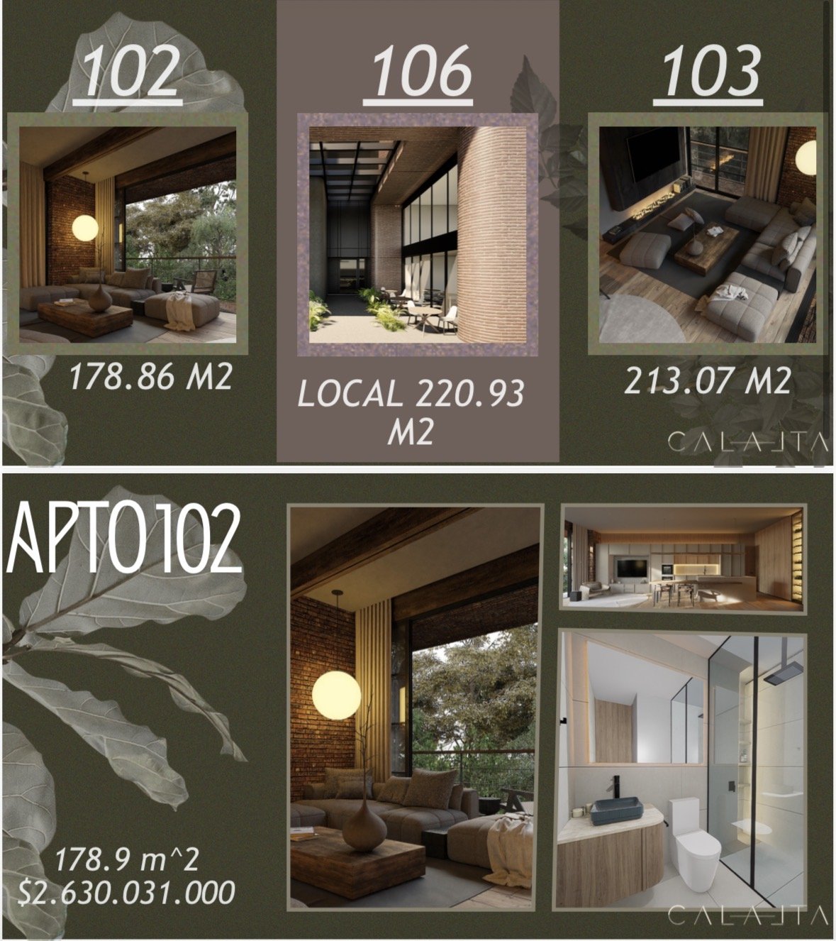 Calalta las palmas proyecto inmobiliariob — 7
