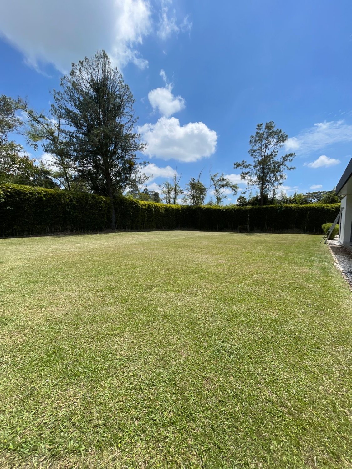 Exclusivos casa en Renta Amoblada  - Image 8