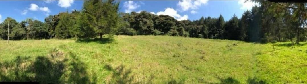 Exclusivo lote en meritage en Venta en las palmas  — 4