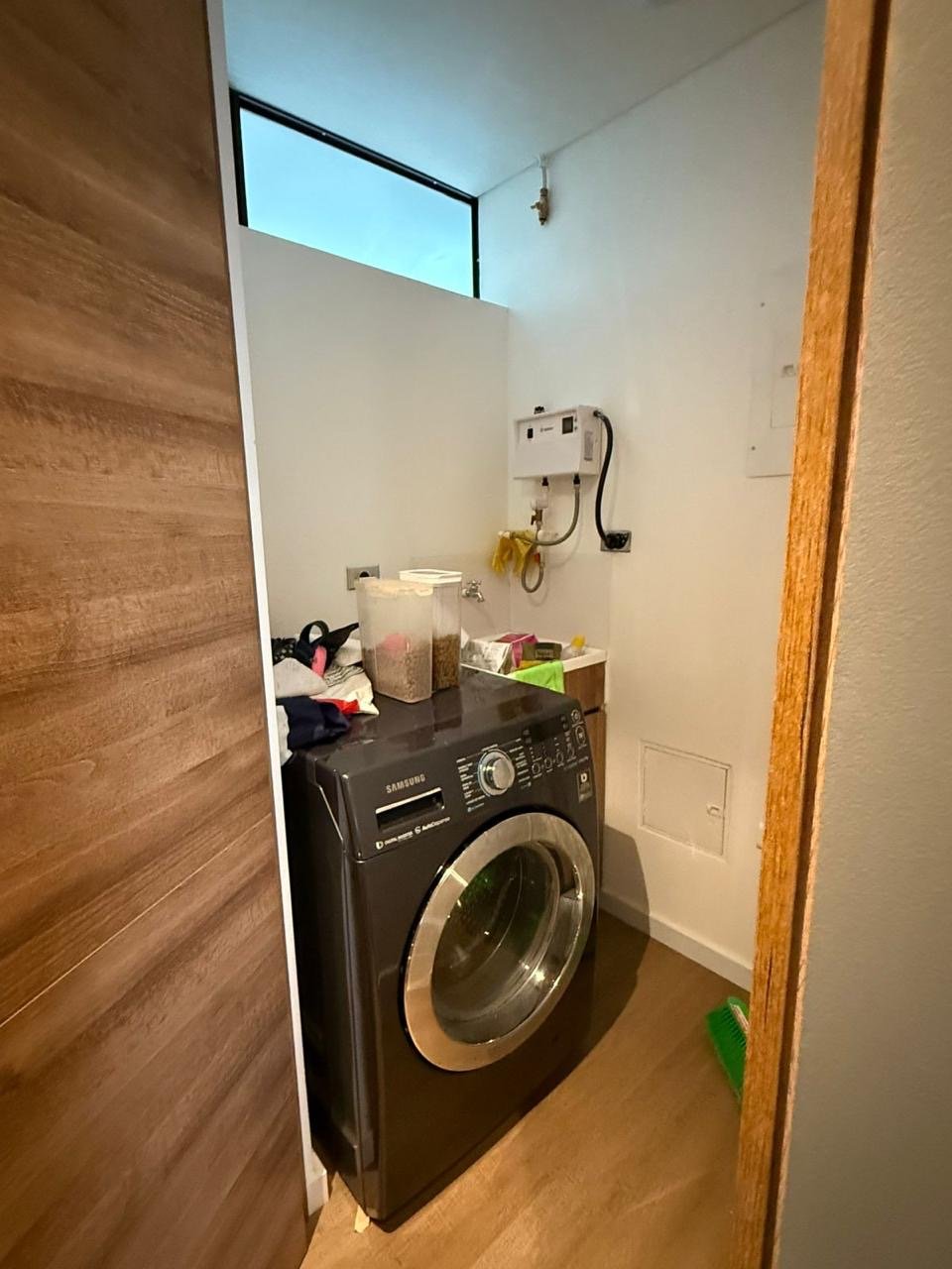 Las palmas (Olive) - Image 8