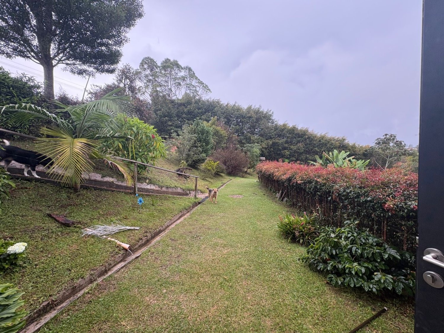 Casa Campestre En Renta y Venta en Rionegro  - Image 15