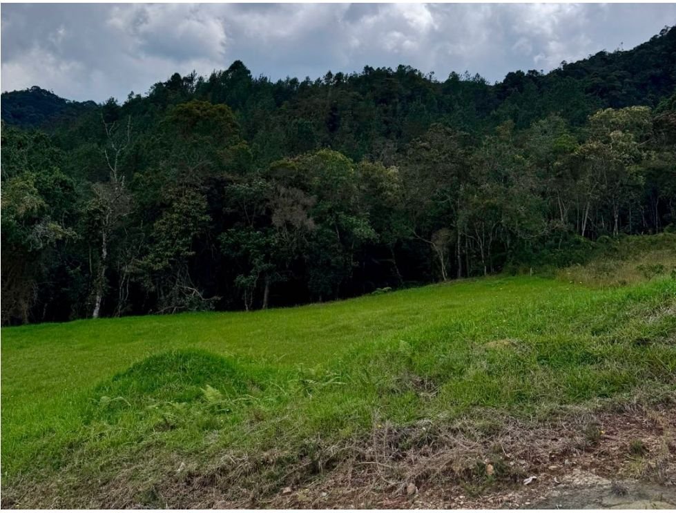 Lote disponible en venta en Vibra alto de las palmas  — 3