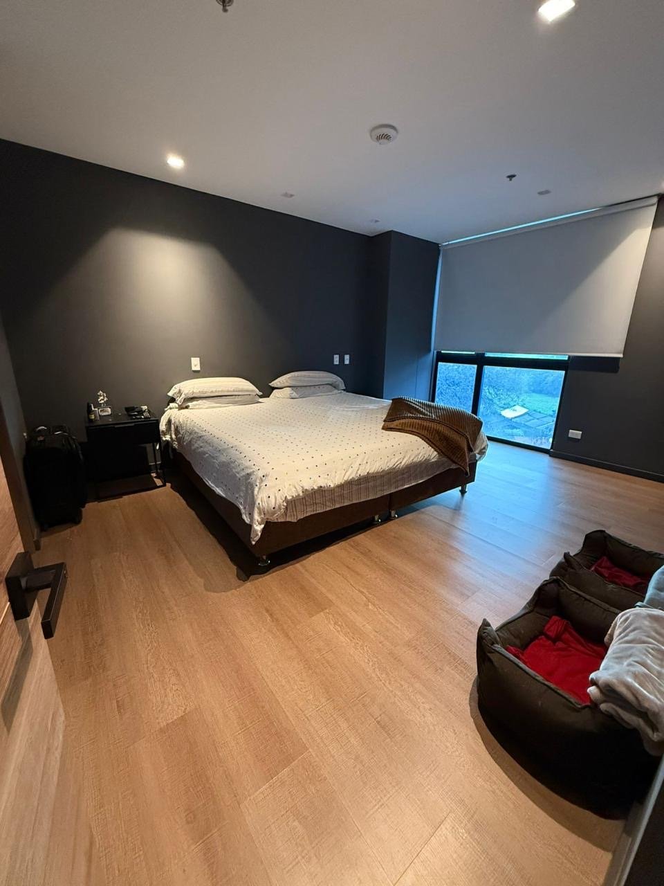 Las palmas (Olive) - Image 3