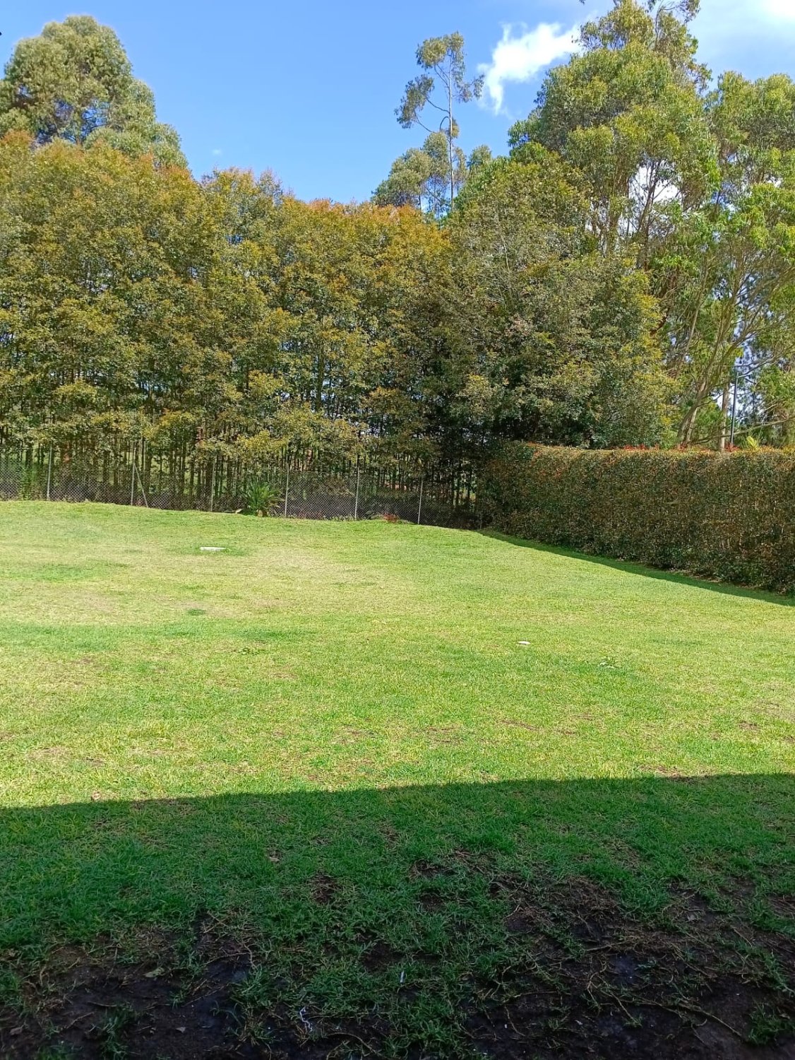 Se Renta o Vende Exclusiva casa en el sector de llano grande  - Image 5