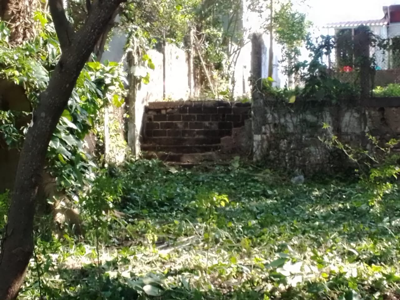 Terreno en Calle Independencia, Ángel R. Cabada Ver - Image 5
