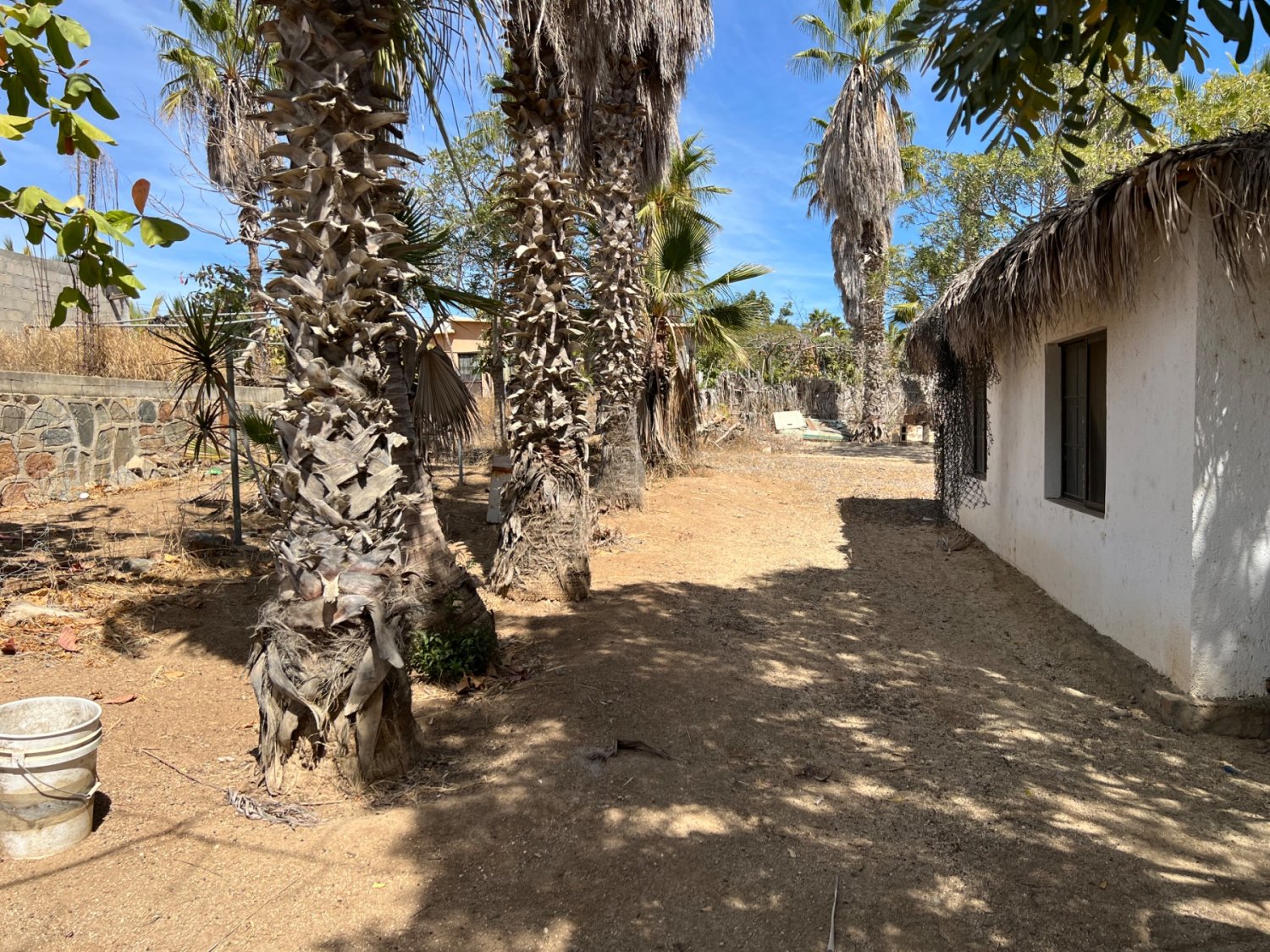 Terreno Todos Santos, BCS - Image 8