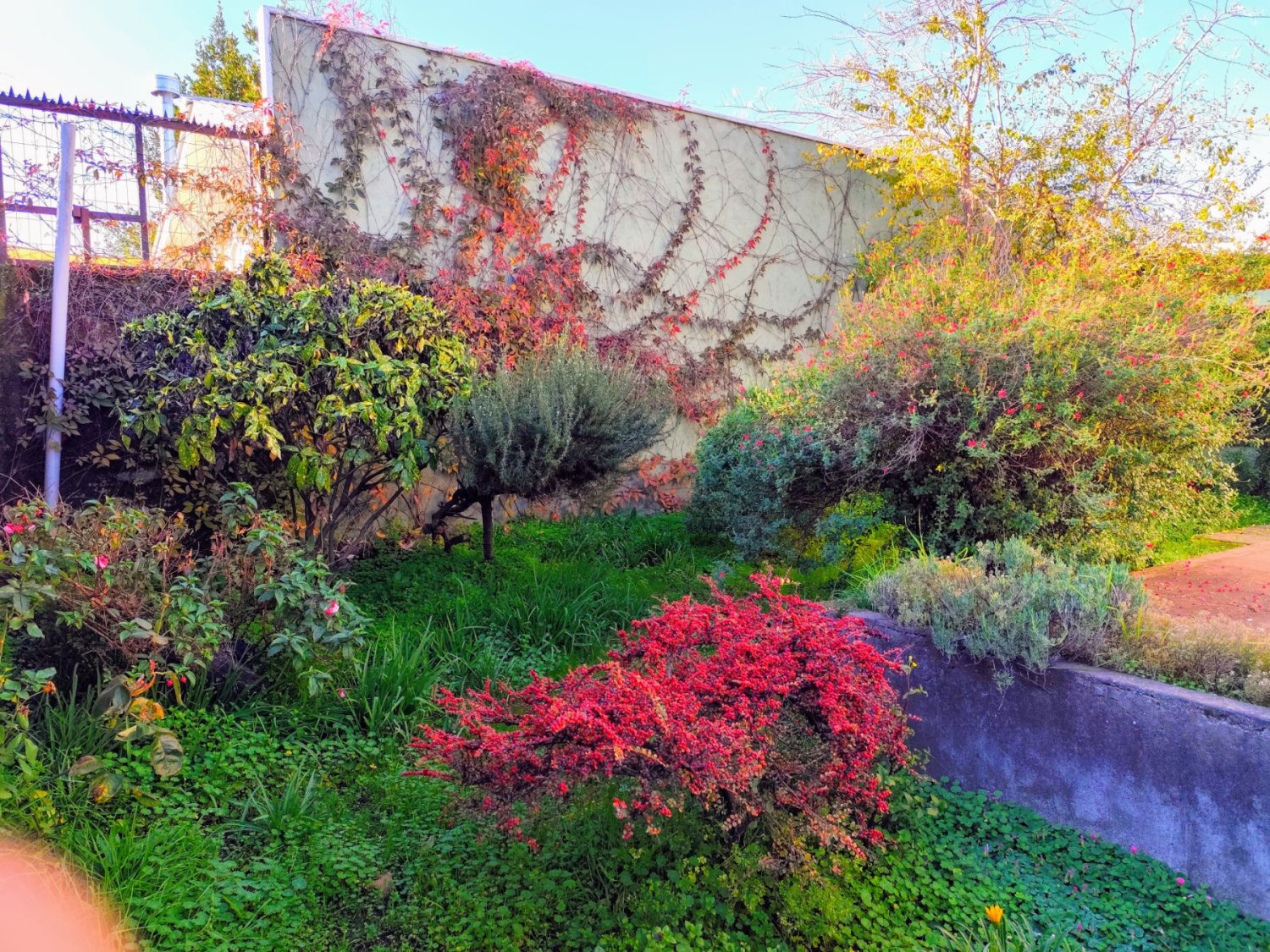 Casa Familiar en Centro Cívico Chillán - Image 3