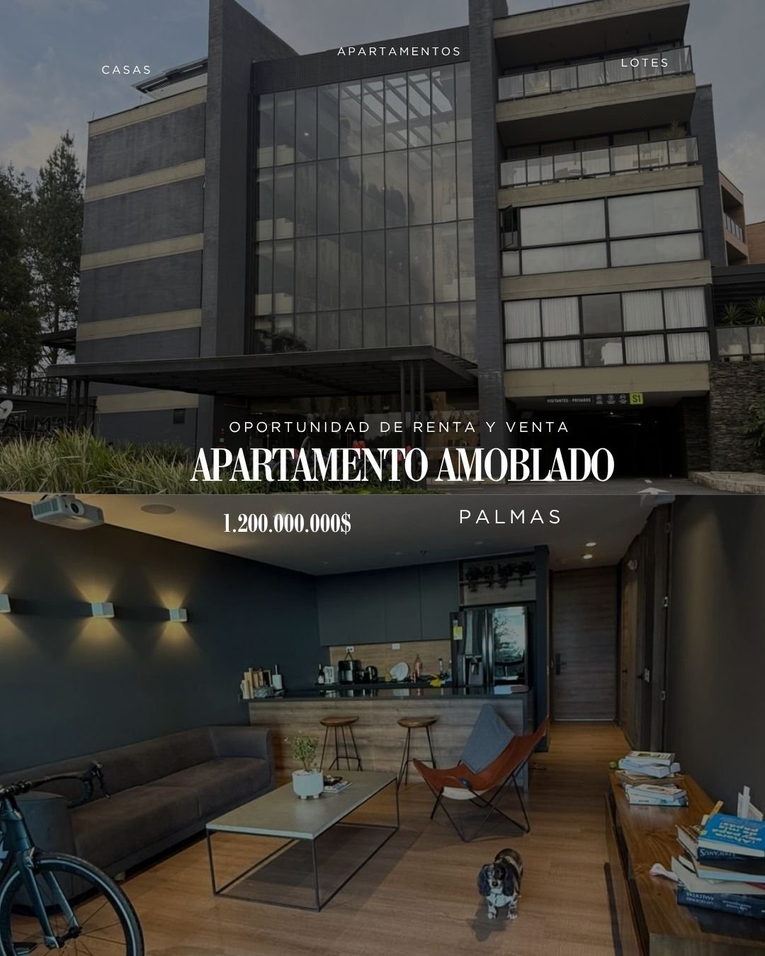 Exclusivo loft duplex en venta en las palmas  — 1