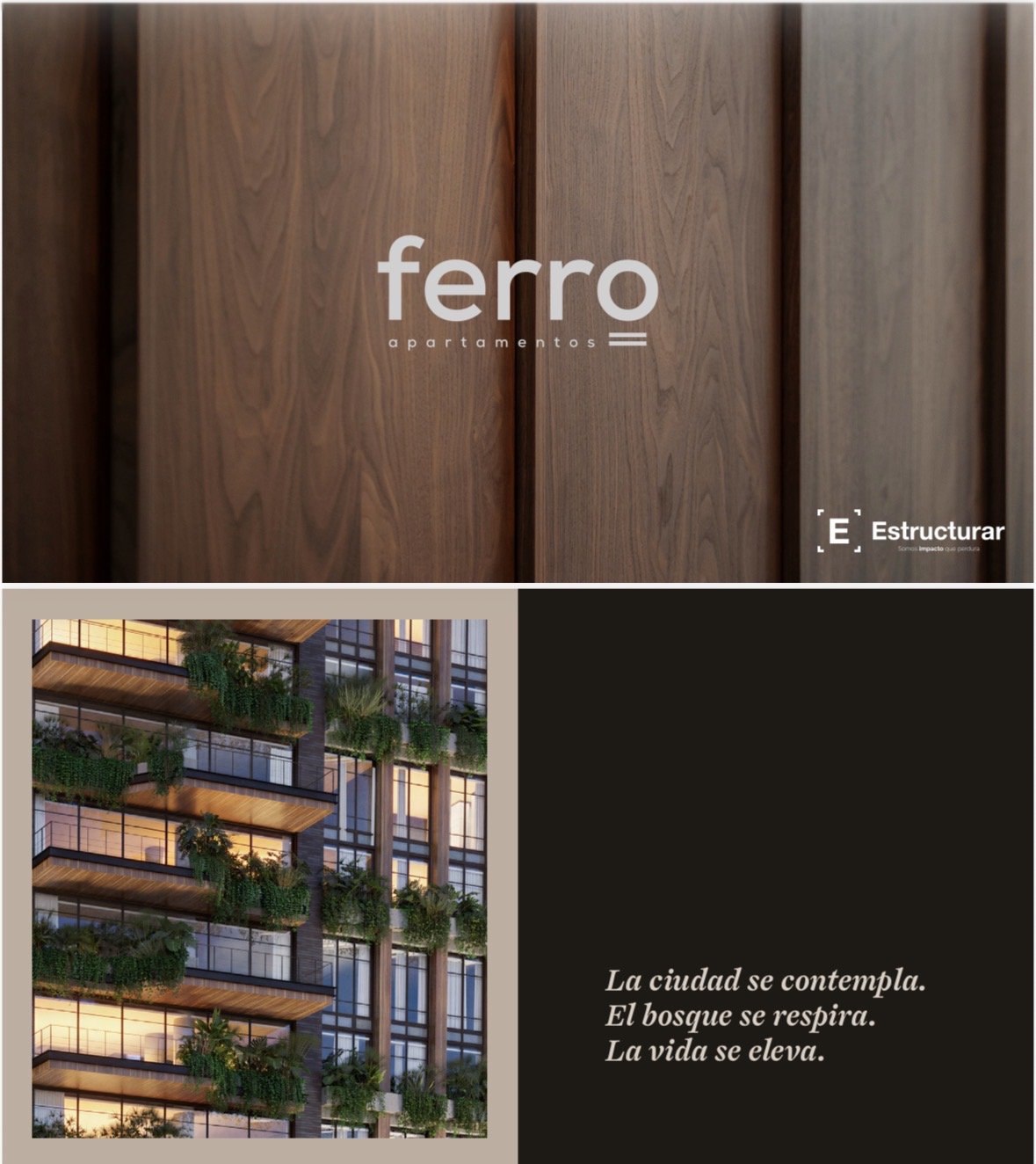 Ferro Proyecto Asociativo  — 1