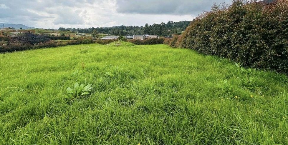 Exclusivo lote en Venta en las palmas (Envigado) — 1