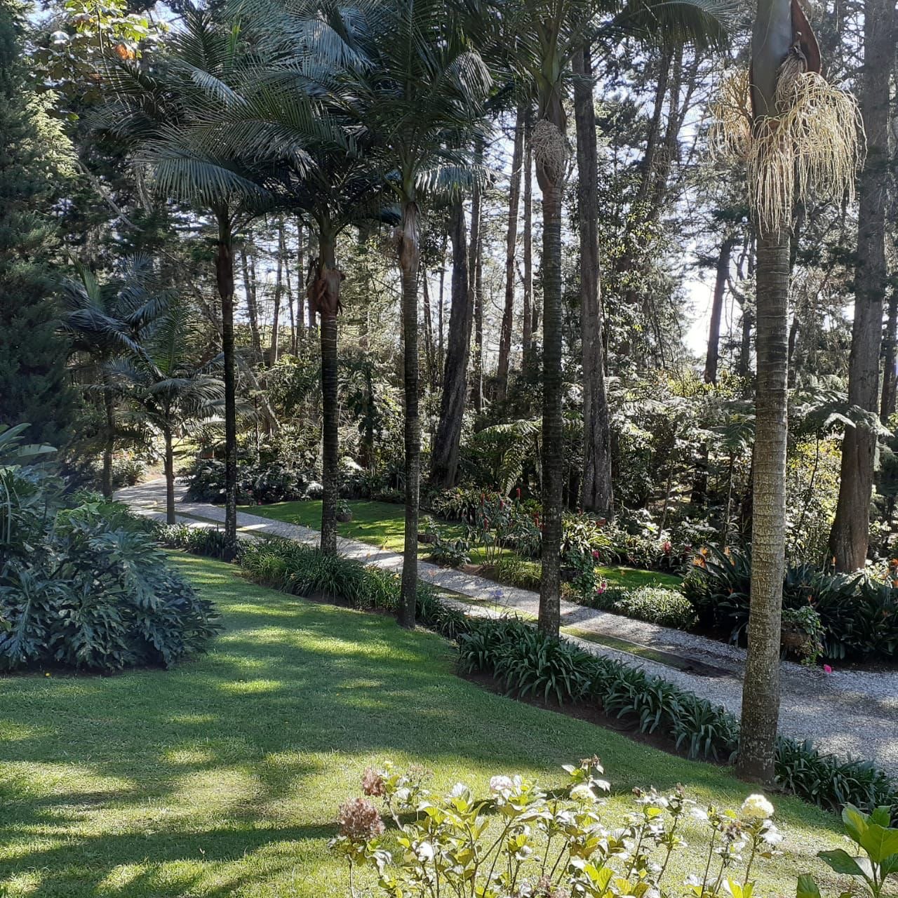 Exclusiva Casa campestre en venta con Bosque privado  — 10