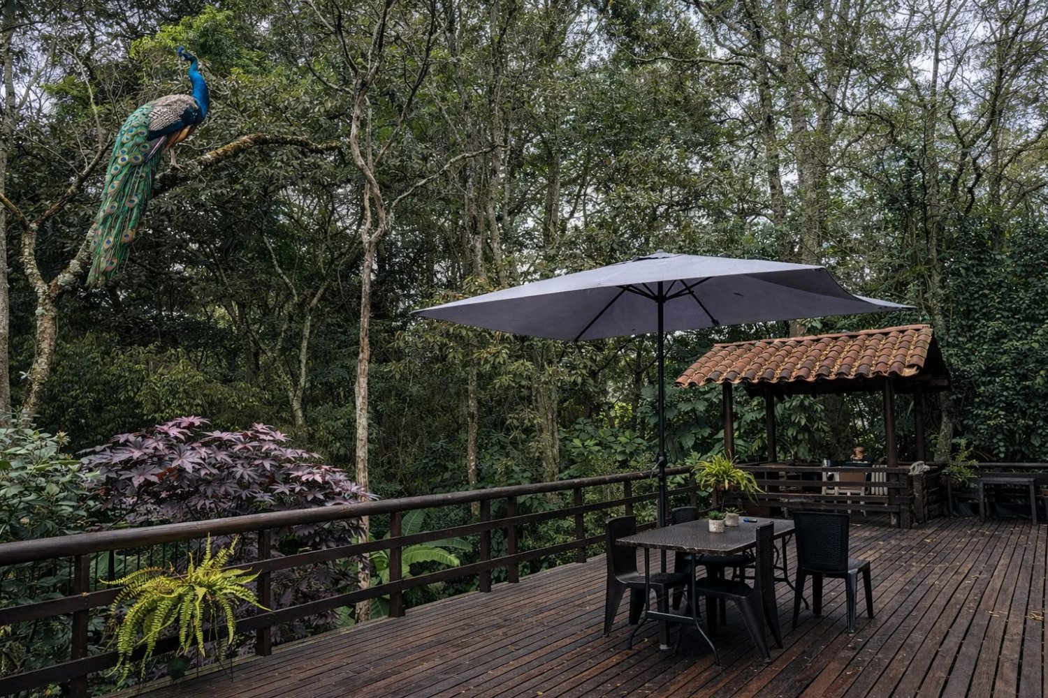 Luxury Country Estate for Rent – Candelaria Campestre, Rionegro - 18