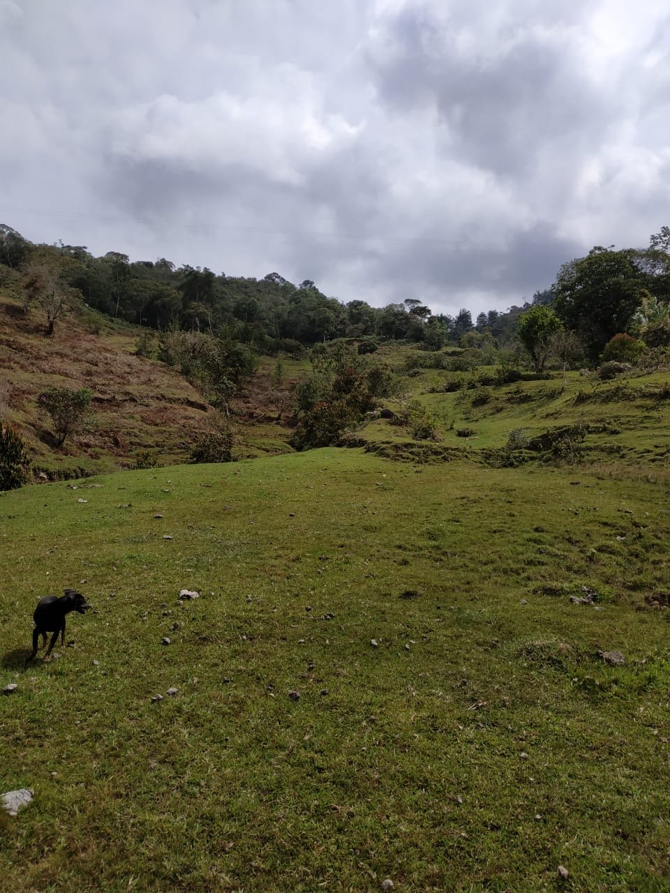 Exclusivo Lote para inversiones ideal para desarrollo inmobiliario con accesos a represa  — 3