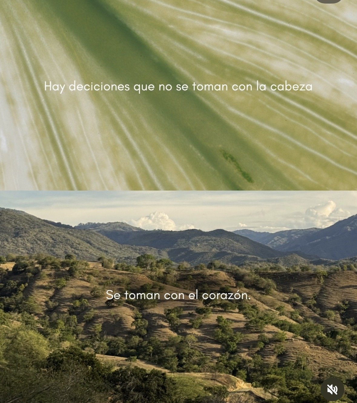 Natura living (Proyecto lotes )  — 10