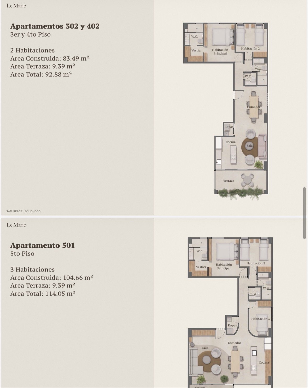 Proyecto de Rentas cortas (La María ) - Image 11