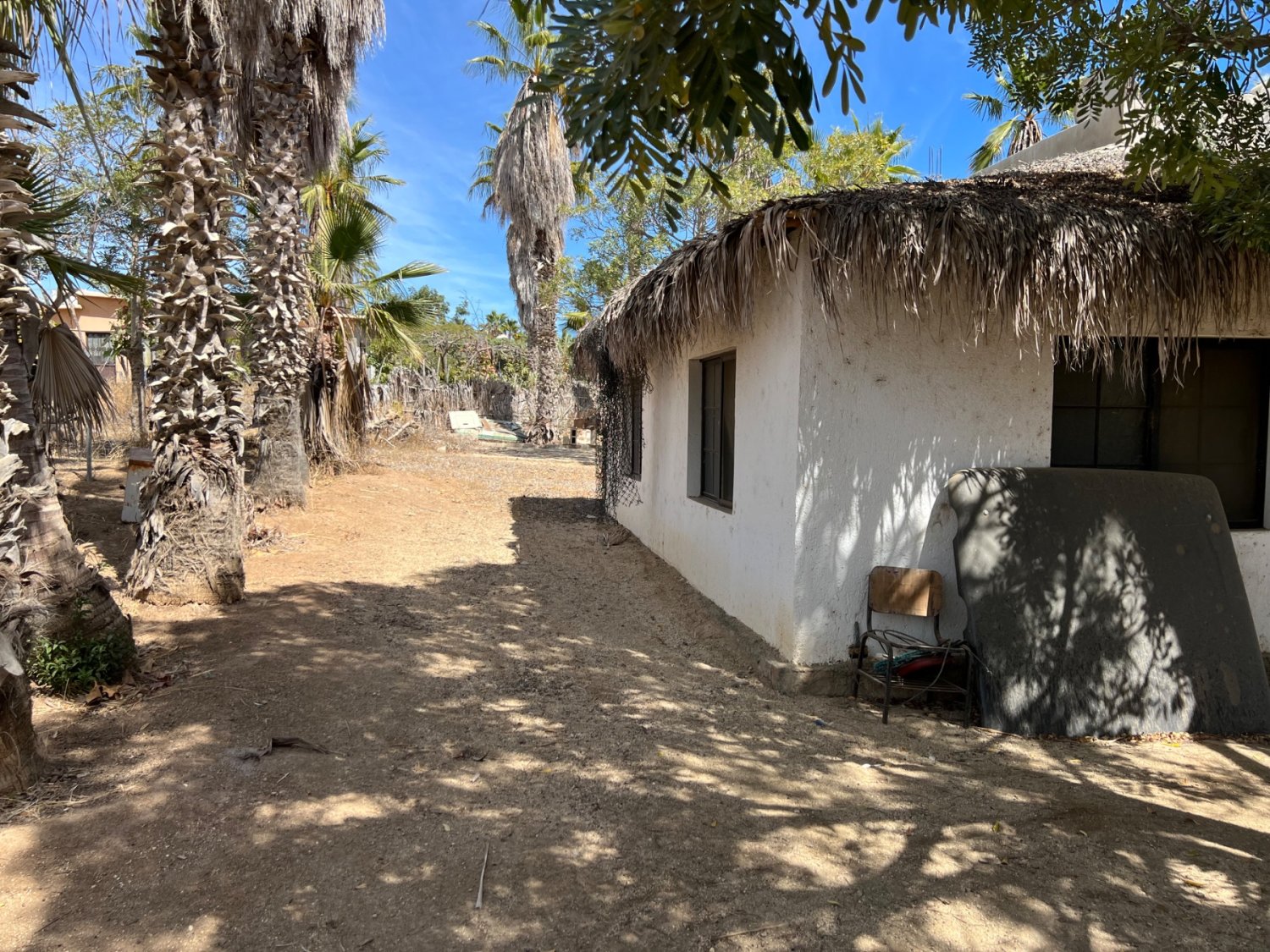 Terreno Todos Santos, BCS - Image 4