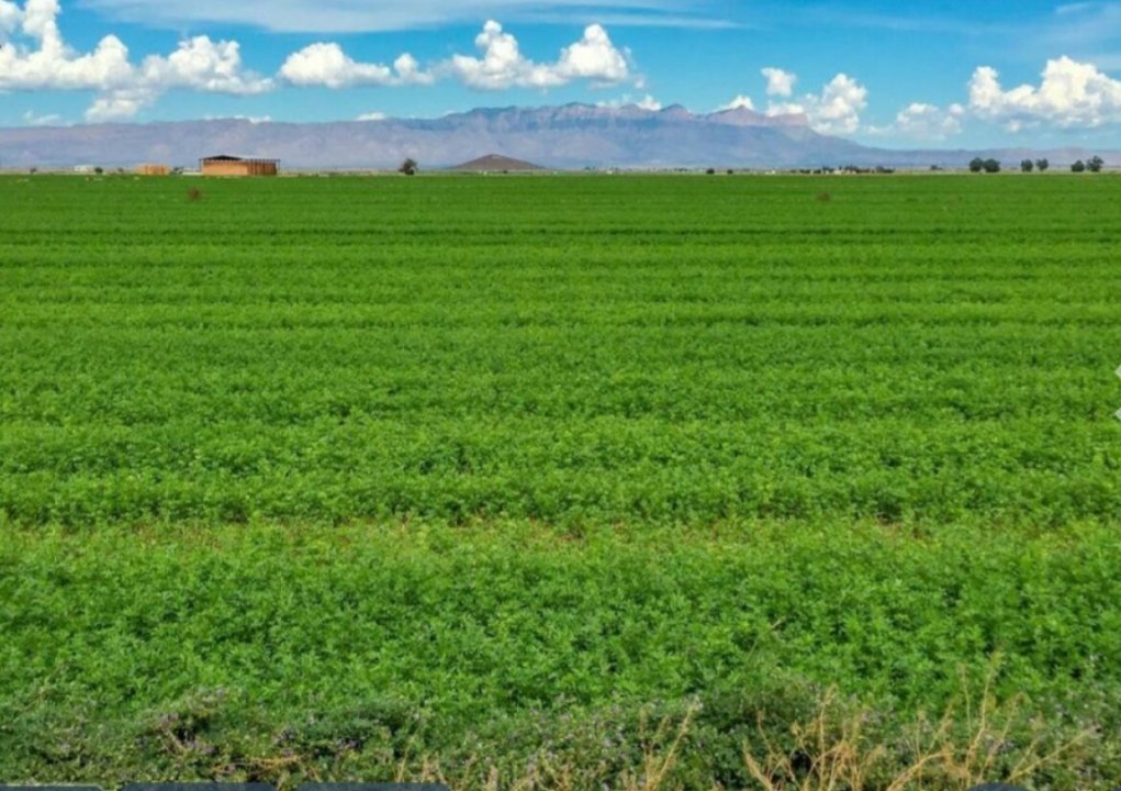 Dell City Texas  Farmland  - Image 6