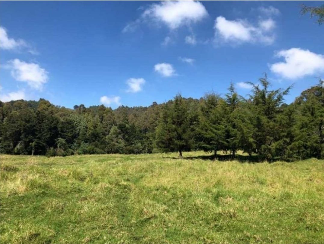 Exclusivo lote en meritage en Venta en las palmas  — 6