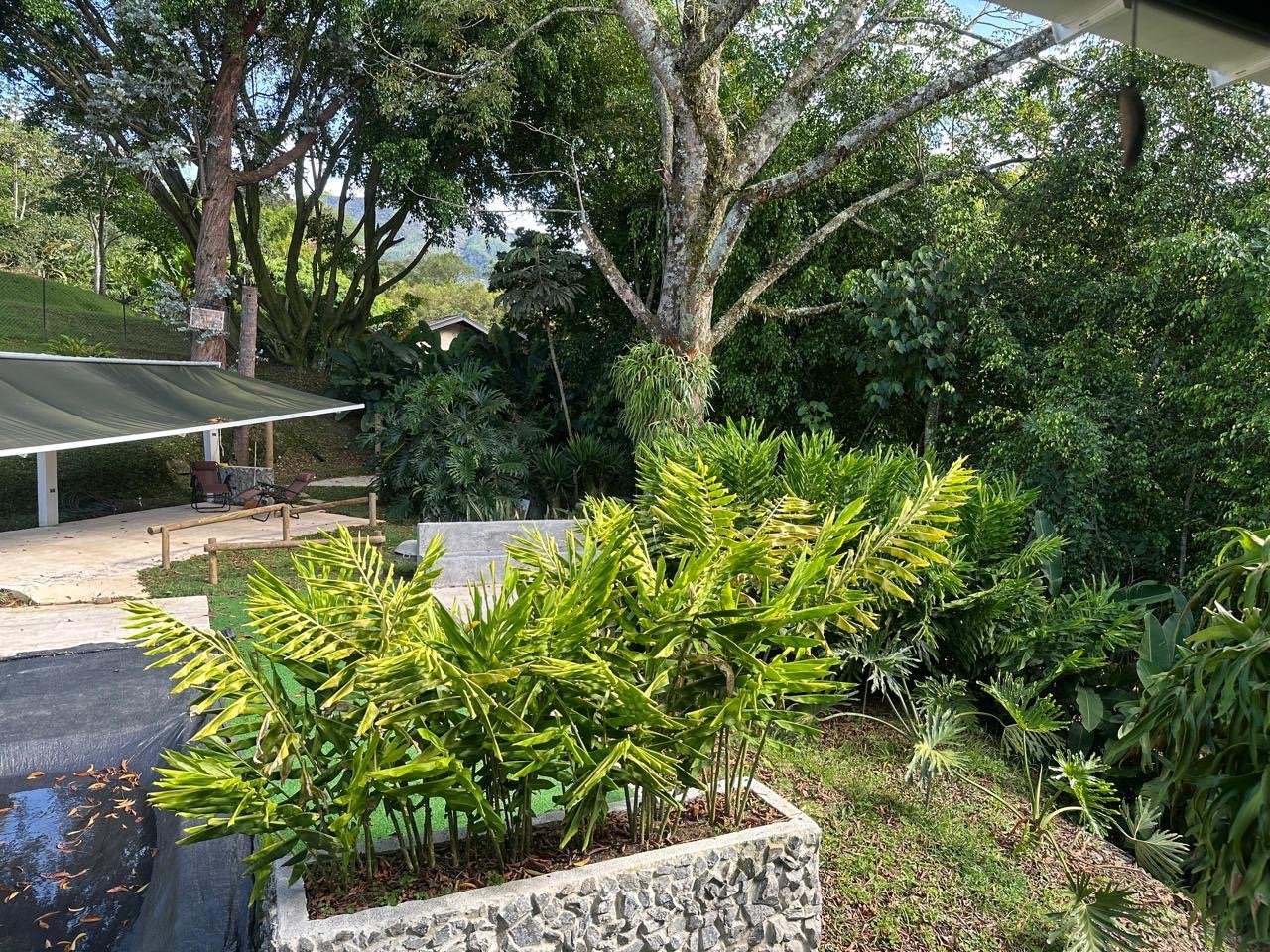 Casa campestre colonial en Renta amoblada y venta  - Image 4