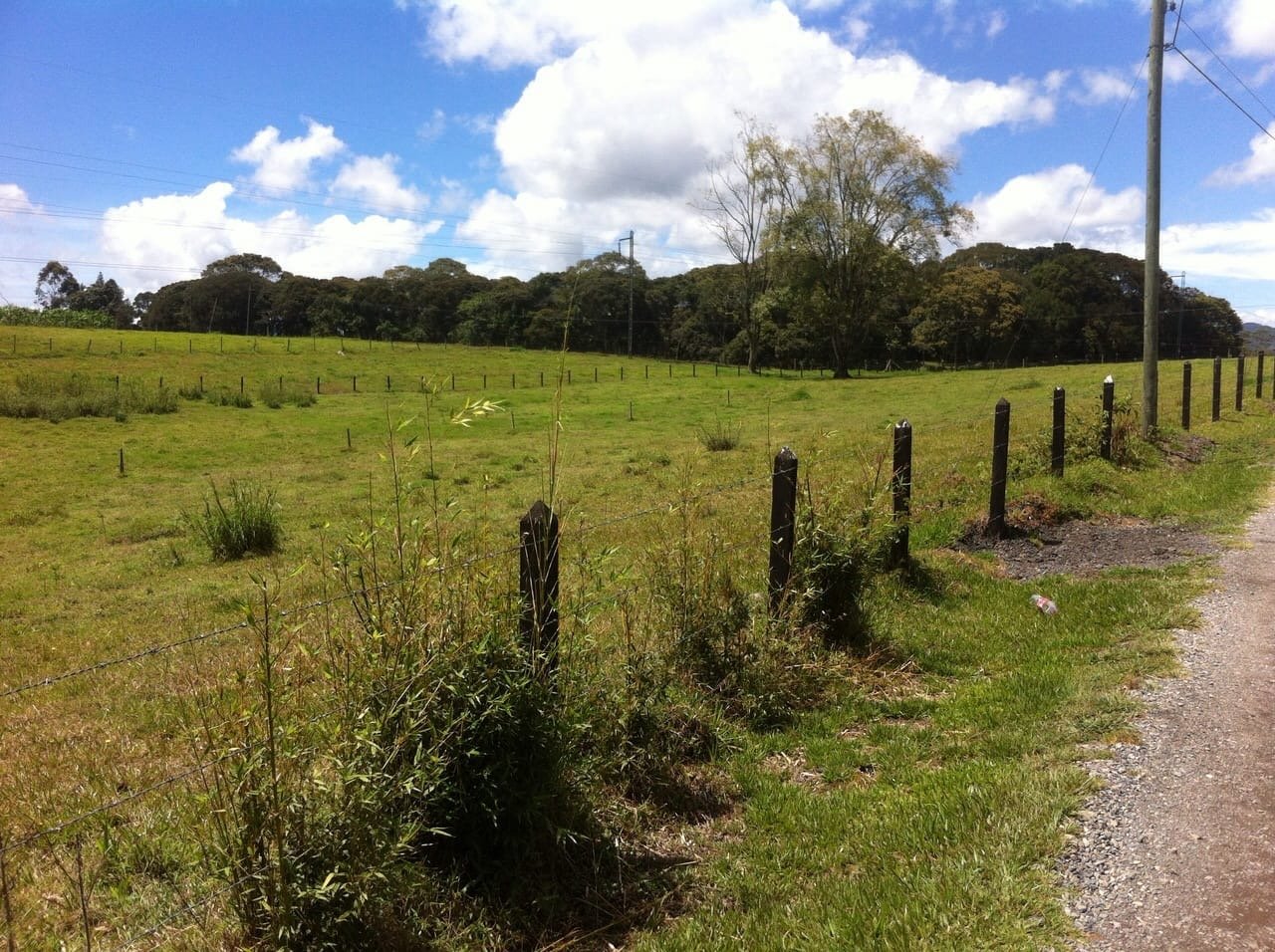 Gran clase lote para desarrollo inmobiliario en Llano Grande Antioquia  - Image 4