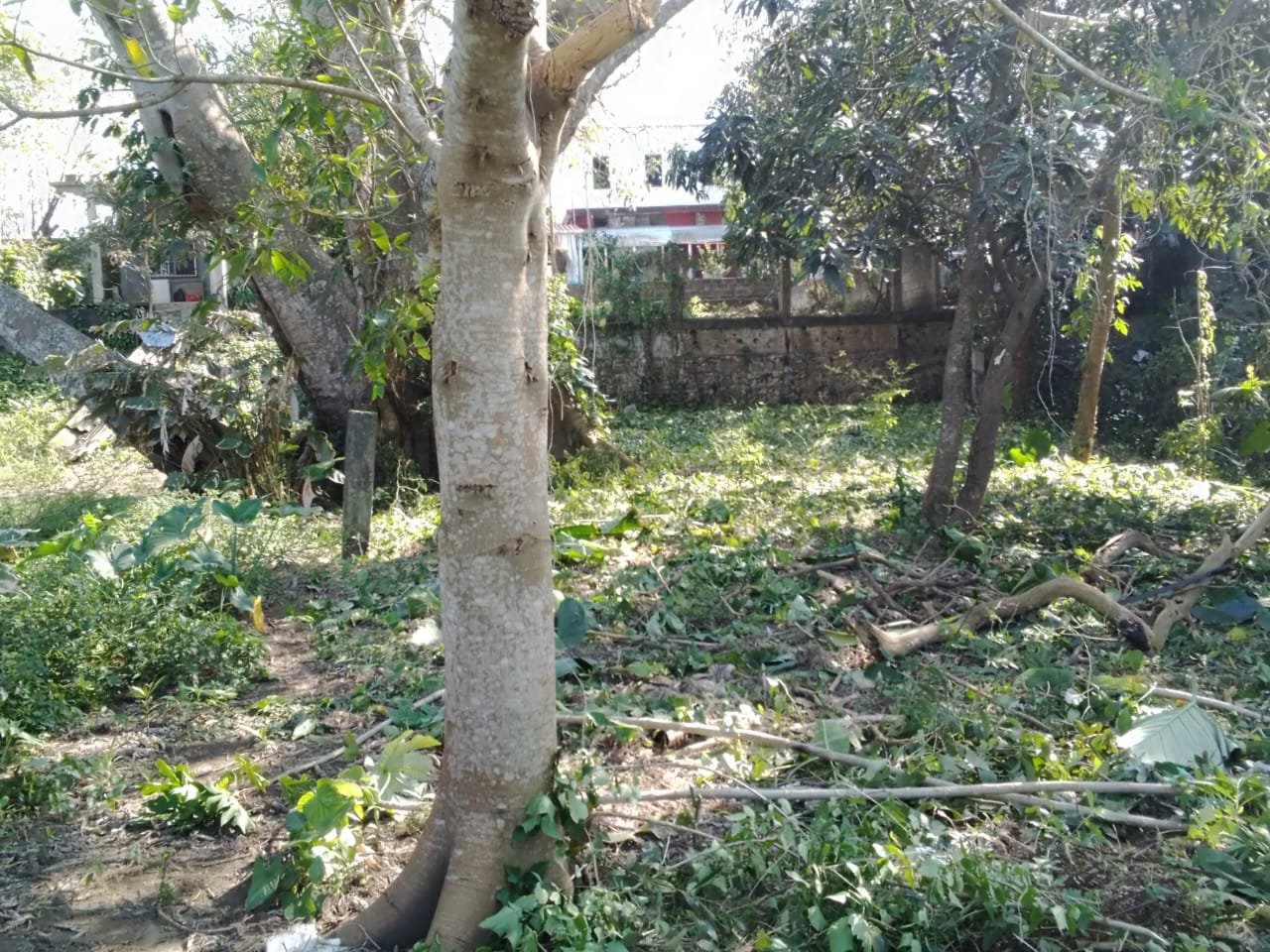 Terreno en Calle Independencia, Ángel R. Cabada Ver - Image 1