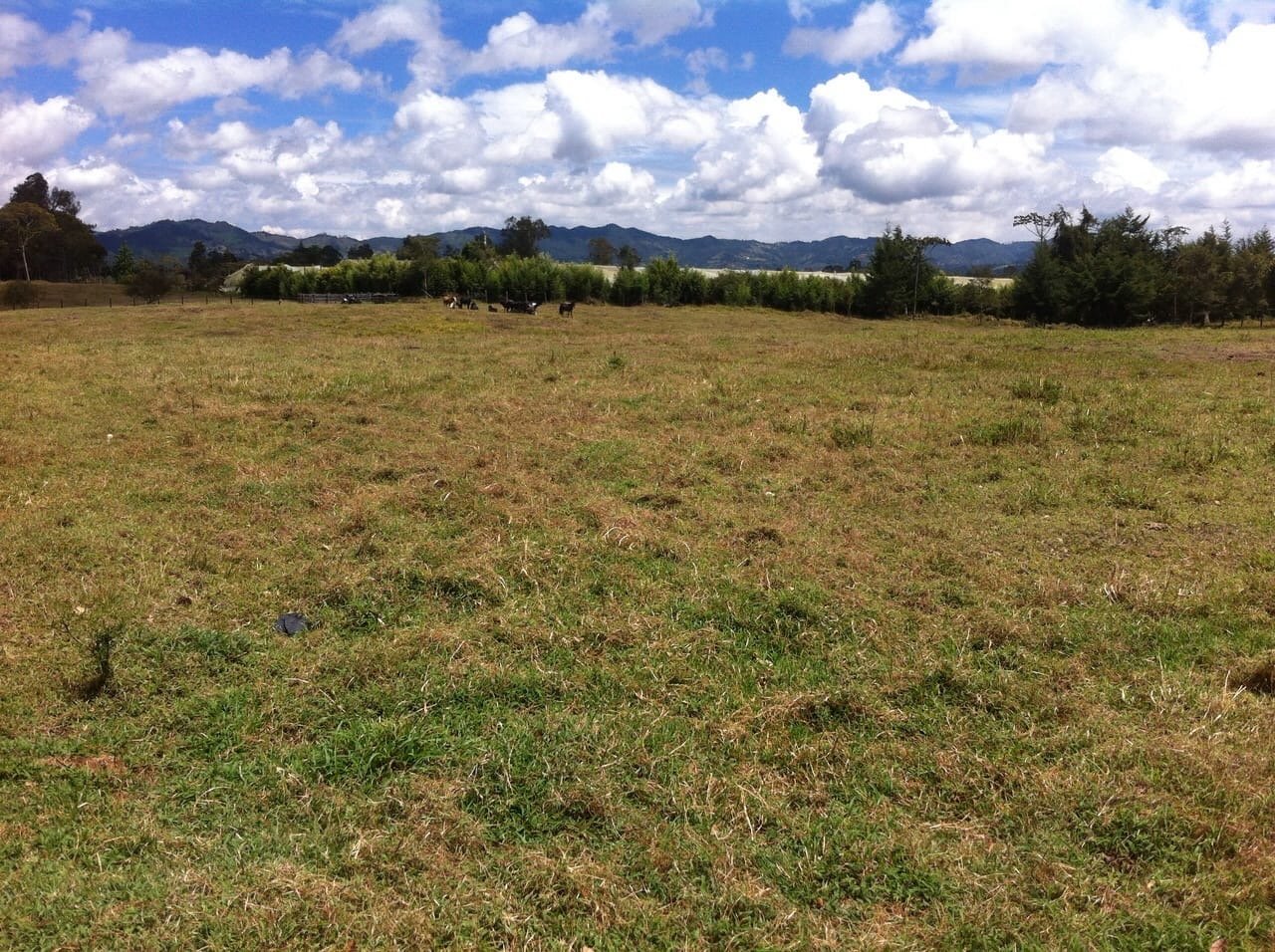Gran clase lote para desarrollo inmobiliario en Llano Grande Antioquia  - Image 2