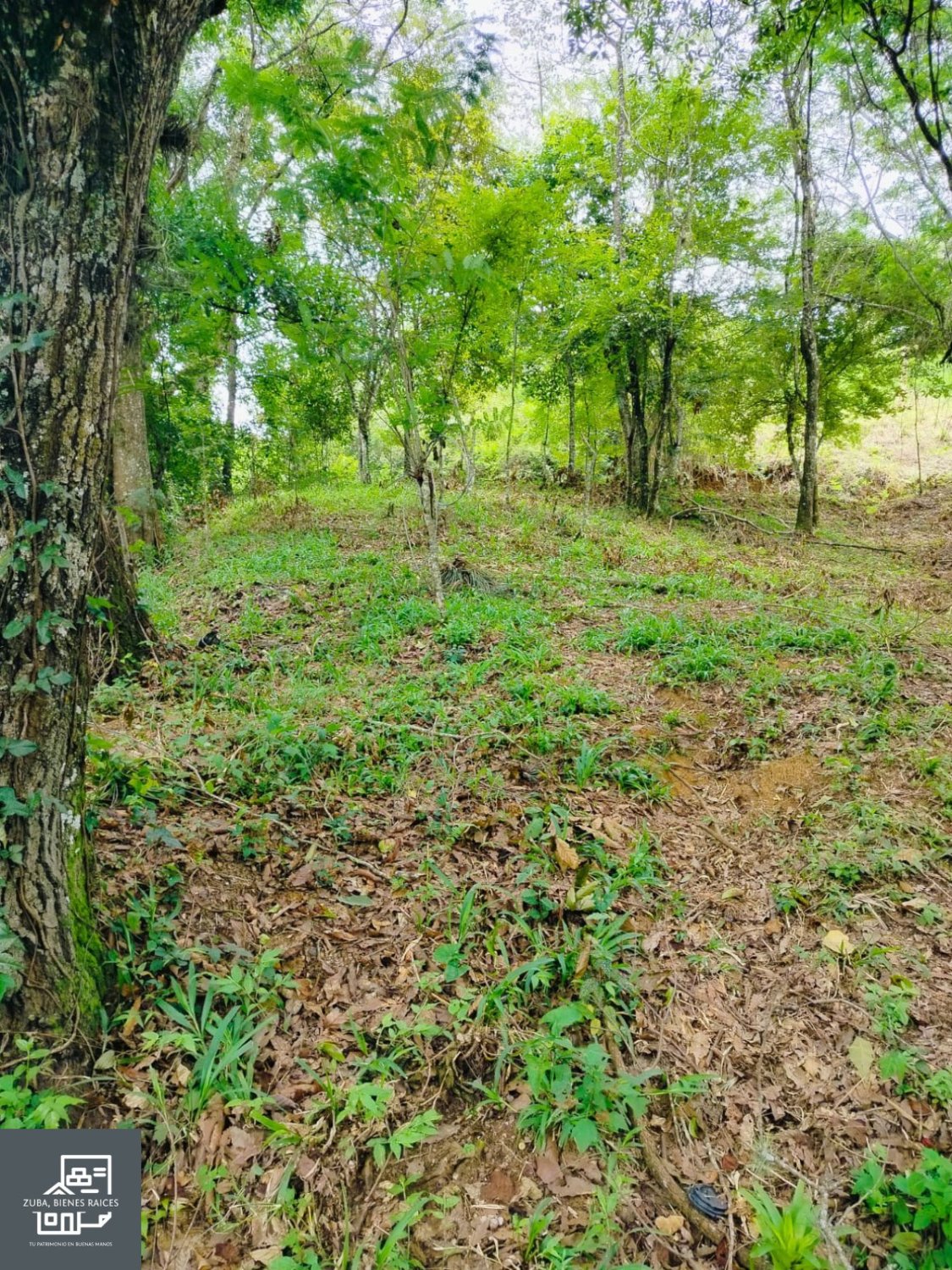 Terreno en Tlalnelhuayocan, Veracruz - Image 2