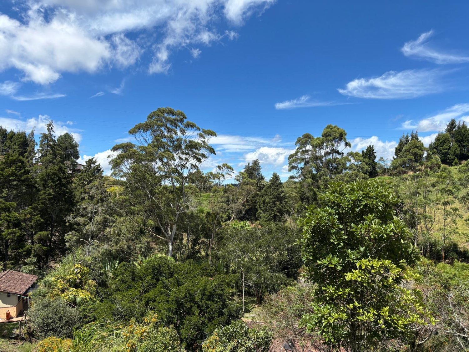 Casa lote disponible en venta en Guarne  con 3 cabañas  — 18