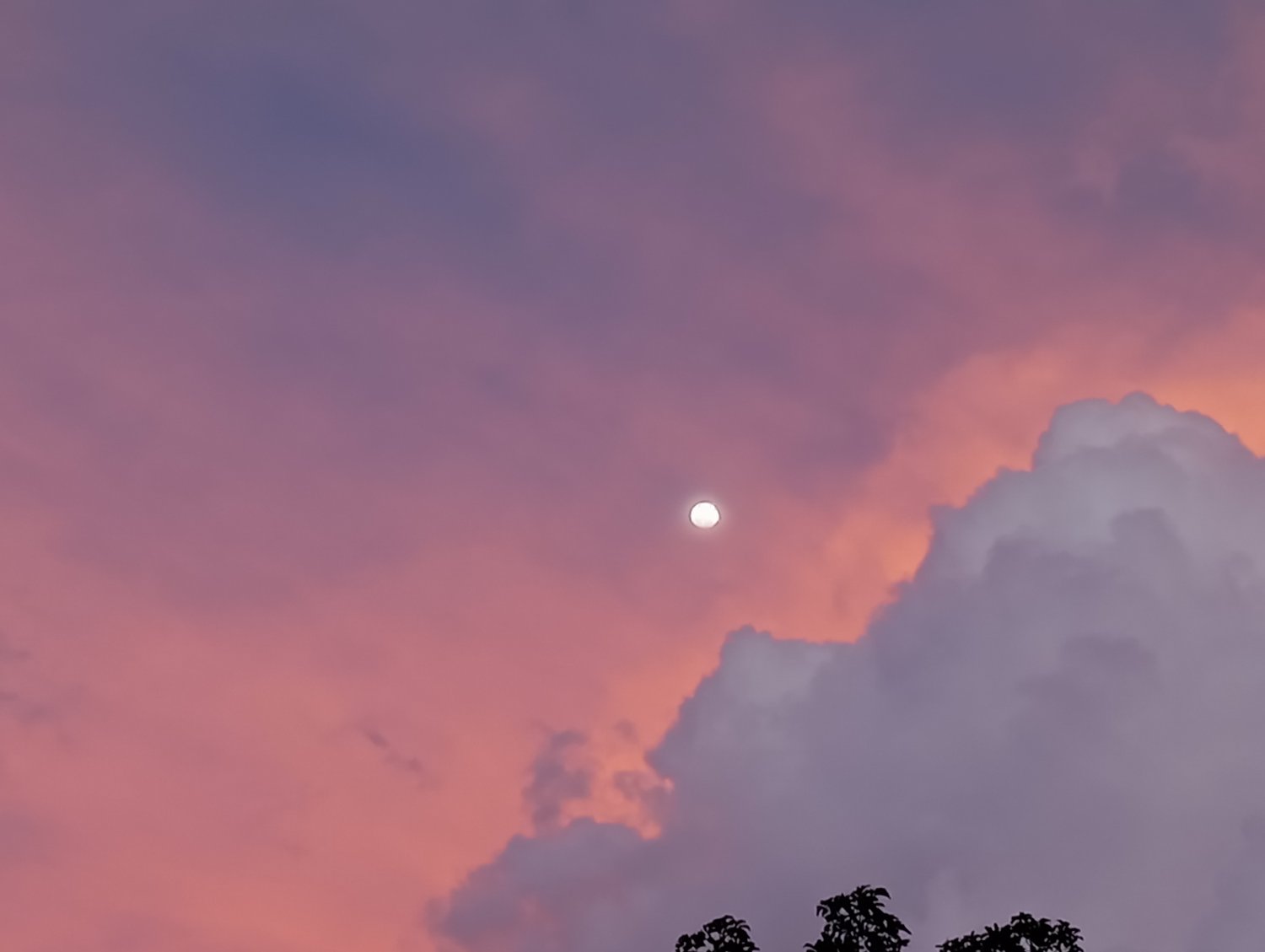 Casa Veracruz  - Image 9