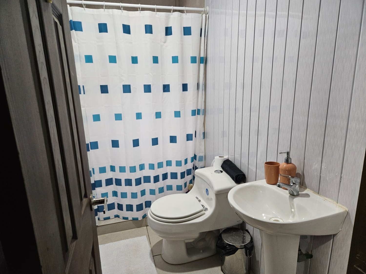 Venta Parcela con casa los Troncos, Valdivia, Camino Paillaco - Image 8