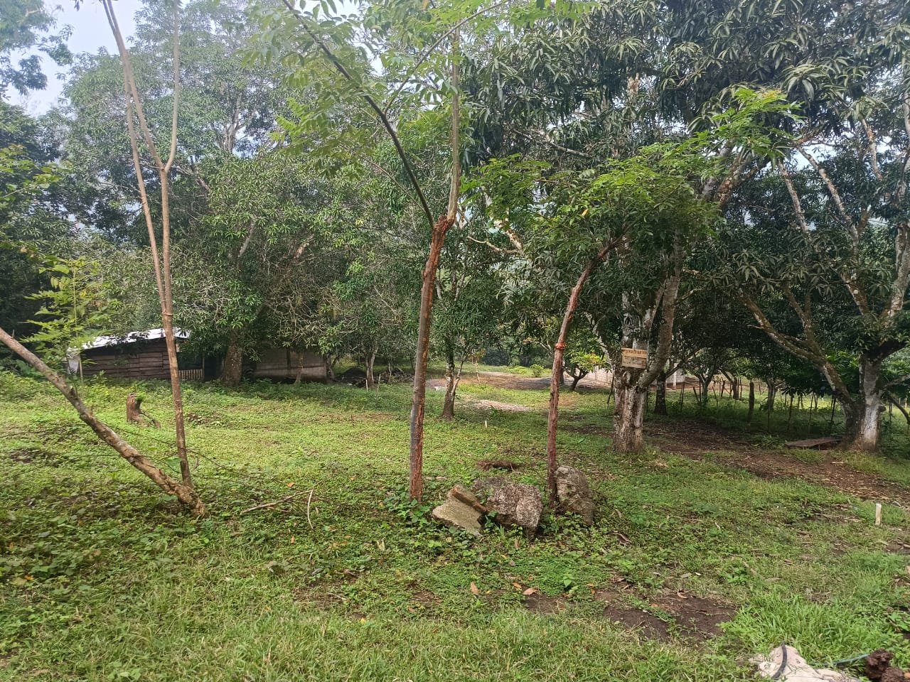 Terrenos Venta cerca de la Col. Benito Juárez, en San Andrés Tuxtla, Ver. - Image 2