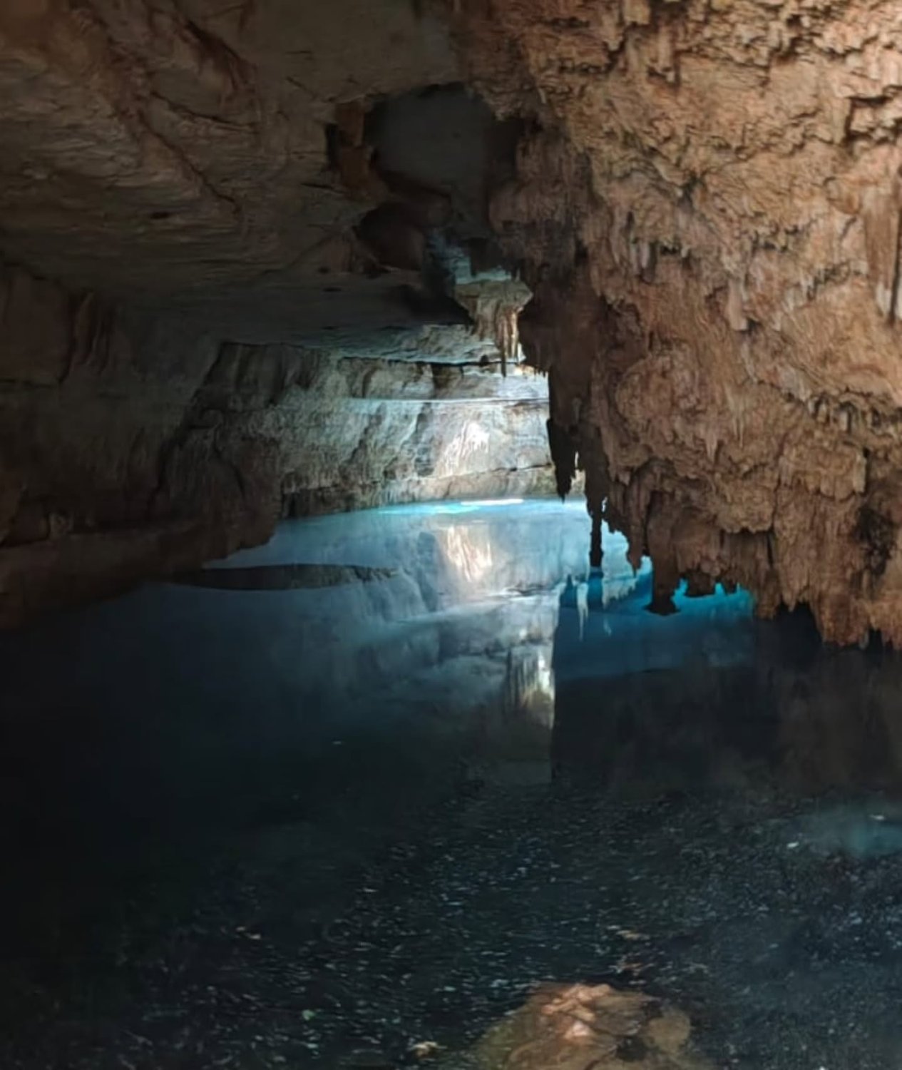 Inversión Exclusiva en la Península de Yucatán - Image 2