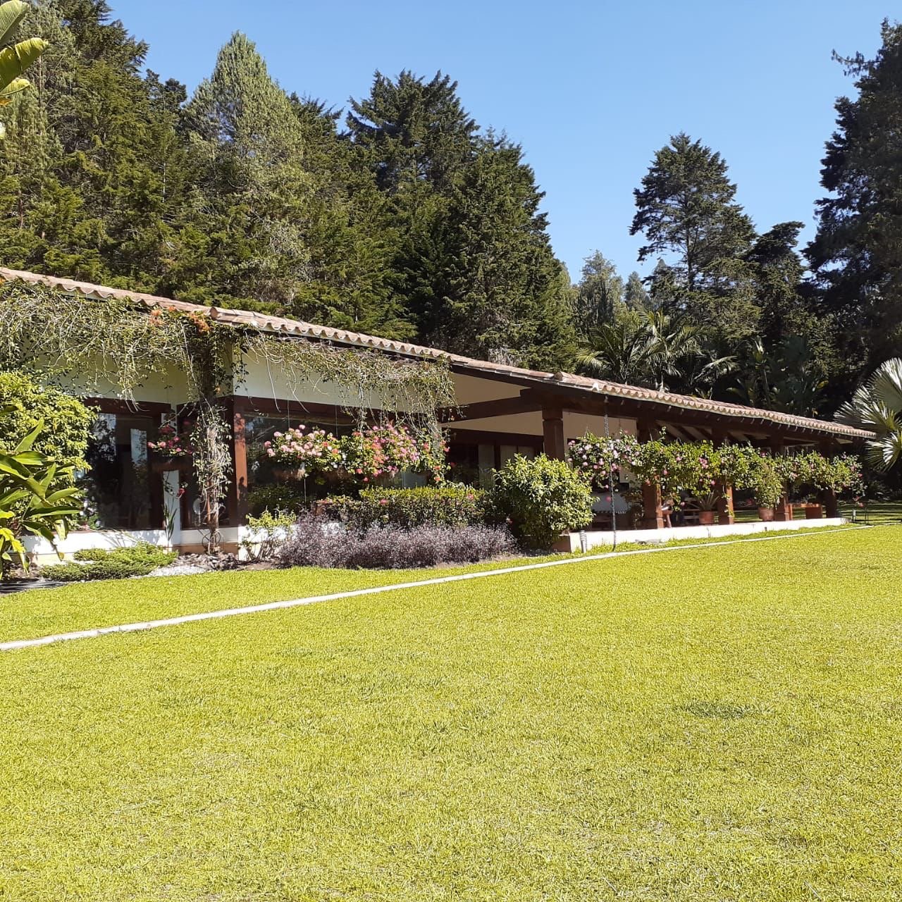 Exclusiva Casa campestre en venta con Bosque privado  — 18