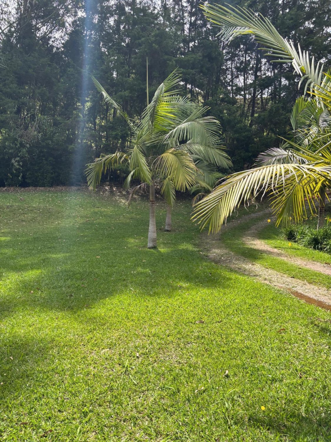 Casa lote disponible en venta en Guarne  con 3 cabañas  — 8