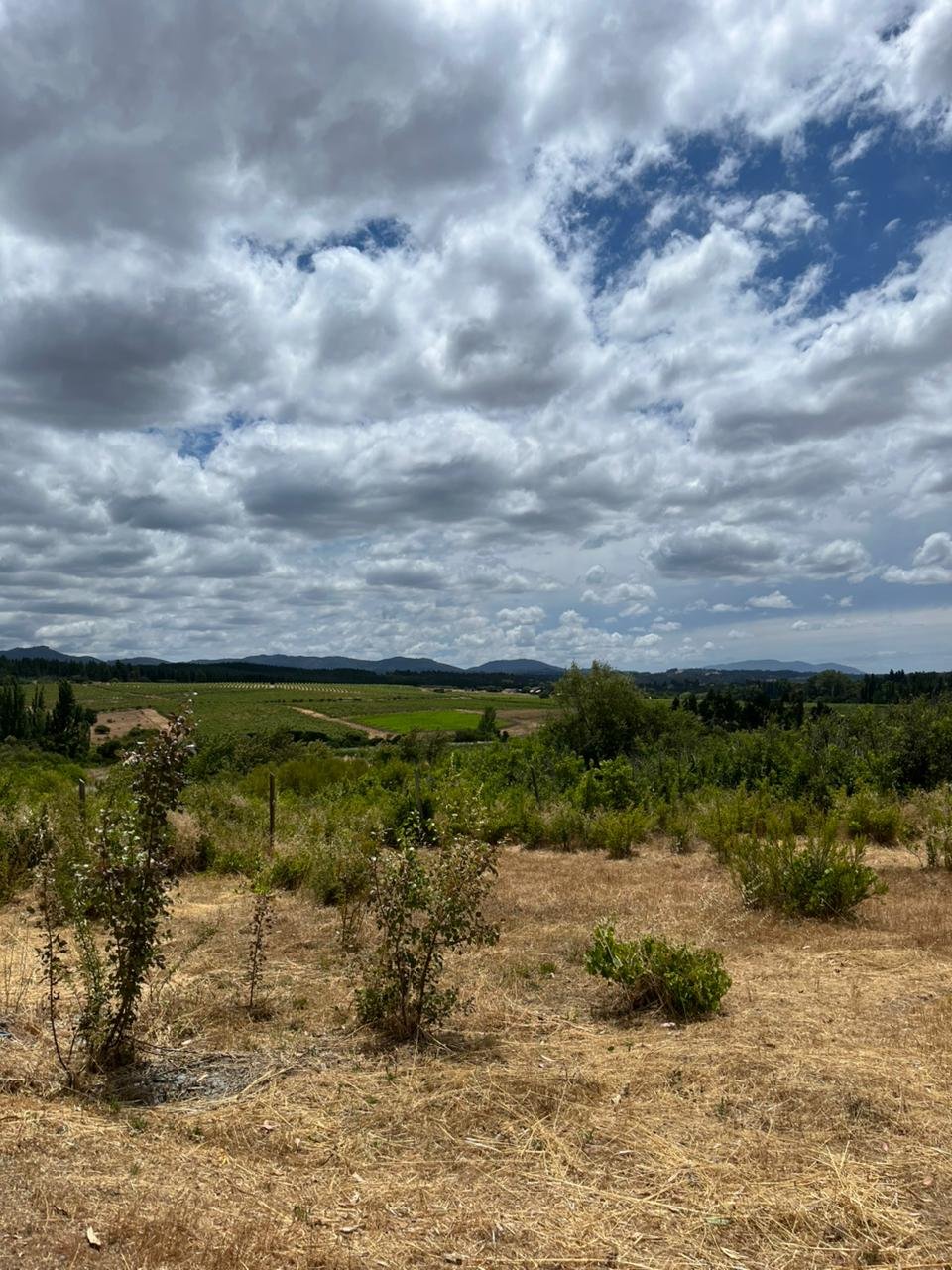 Parcela soñada Camino a Huape - Vista Privilegiada - Image 12