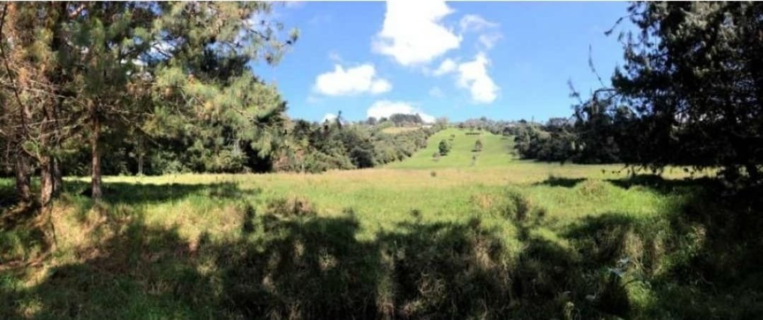 Exclusivo lote en meritage en Venta en las palmas  — 7