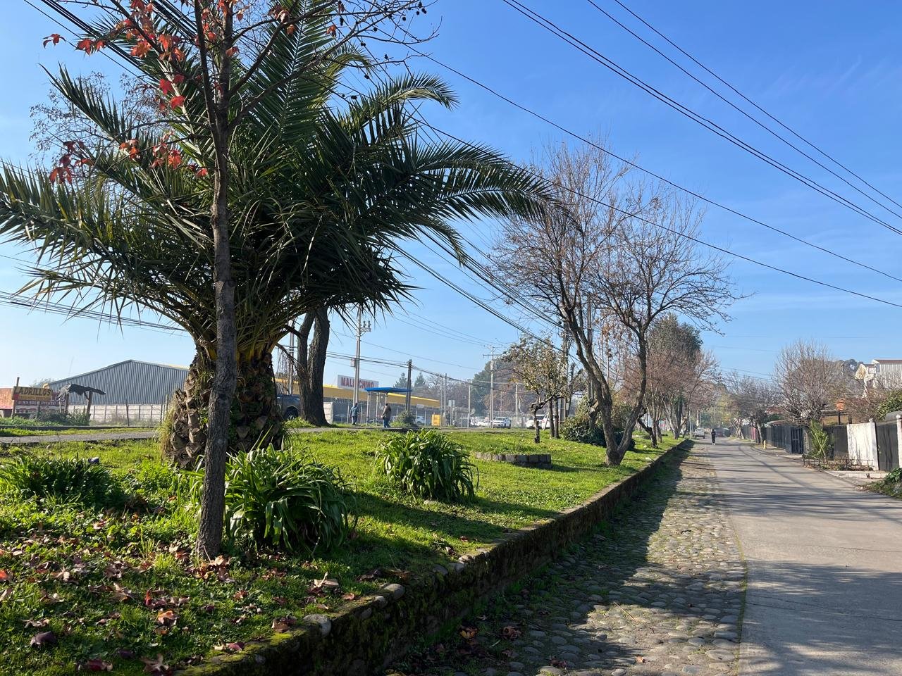 Casa en Arriendo con posibilidad de Compra - Image 11