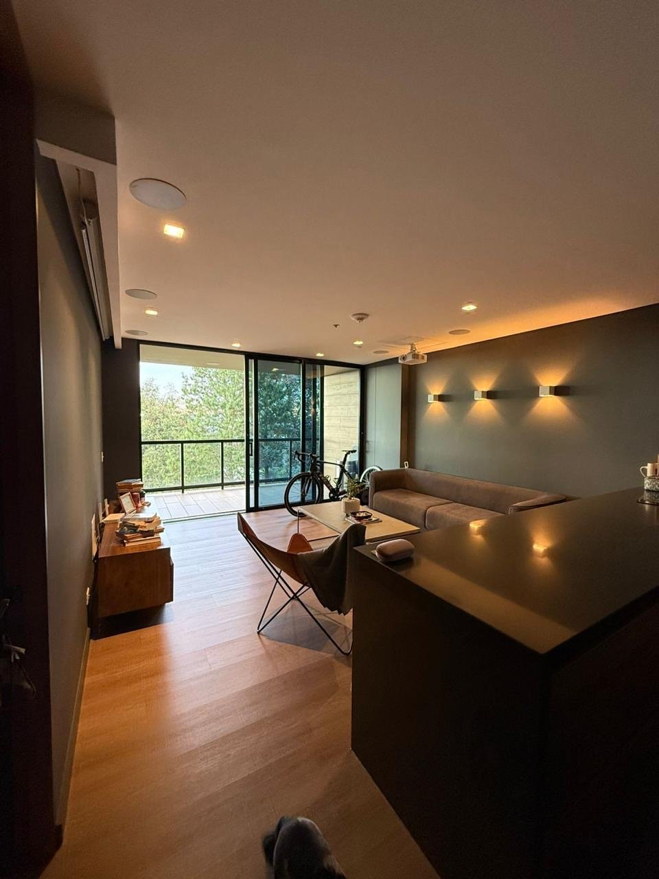 Las palmas (Olive) - Image 2