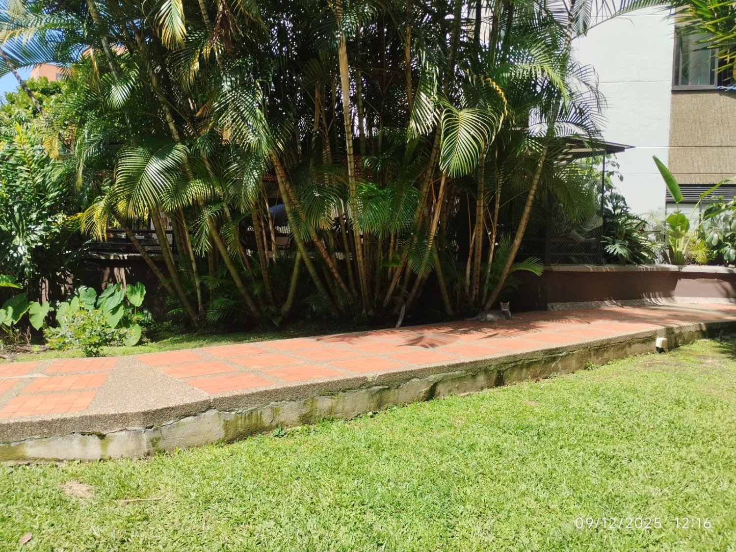 Exclusivo apartamento en Renta y en Venta en el poblado  — 11