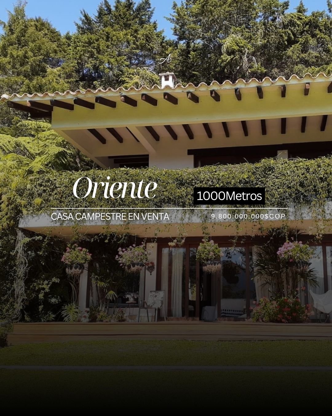 Exclusiva Casa campestre en venta con Bosque privado  — 1