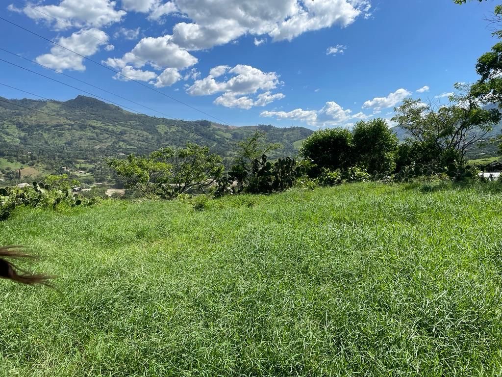 Gran lote a disponible en Venta para desarrollo inmobiliario en Girardota  — 7