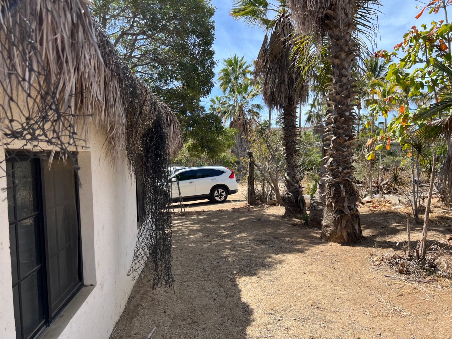 Terreno Todos Santos, BCS - Image 7