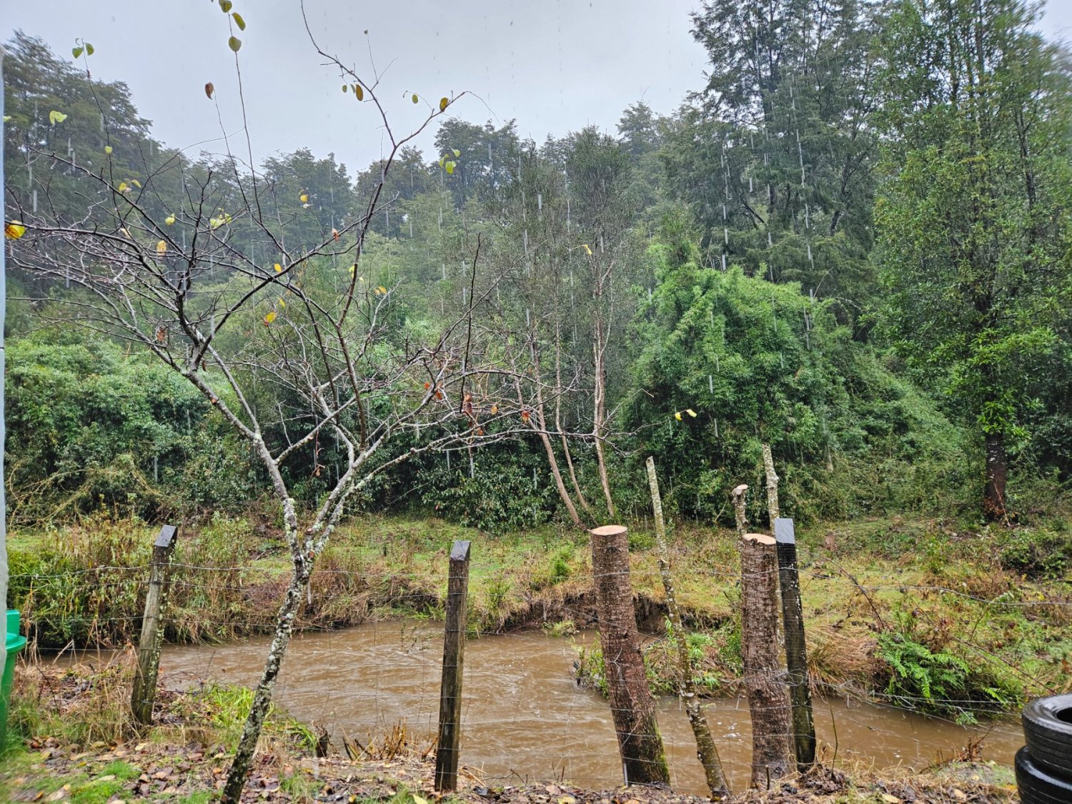 Venta Parcela con casa los Troncos, Valdivia, Camino Paillaco - Image 9