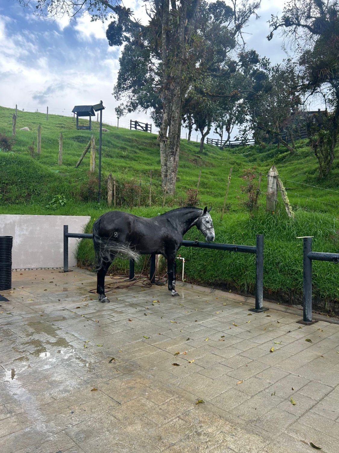 Exclusivo lote en las palmada en Venta  - Image 6